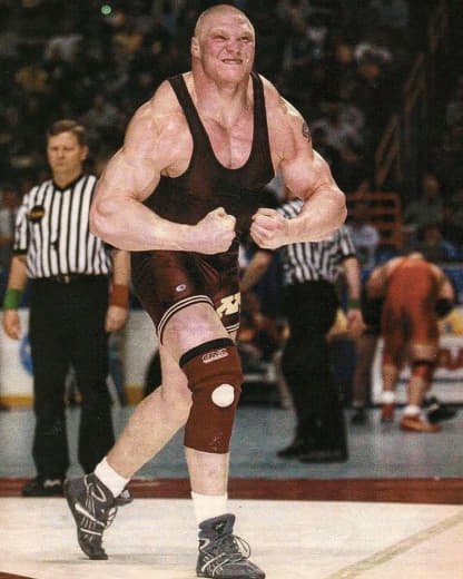 WWE (486)