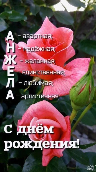 picture_348075375