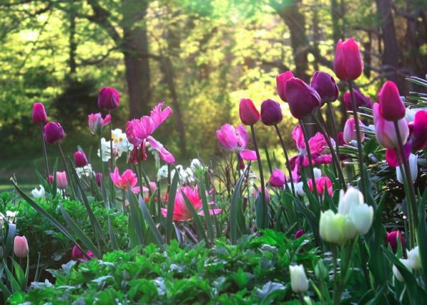 af92dd4429555dbca43d2257ca1