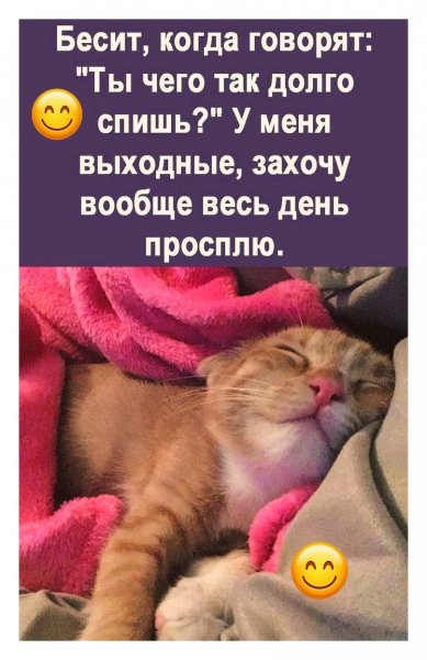 S37kzOO-DTfaTGRyvPOIVtRFsTqh0mrLkcEARZi3JSY0iIei