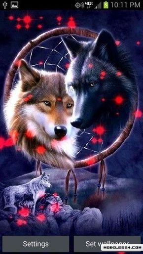 71fd5ecaa6560c5577755ef3107ba64c