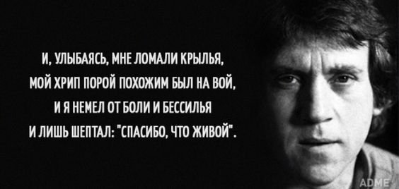 володя2
