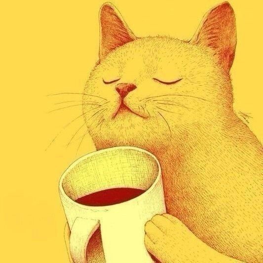 IMG 20200103 070230 313