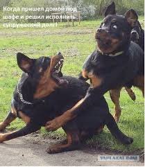 images (19)