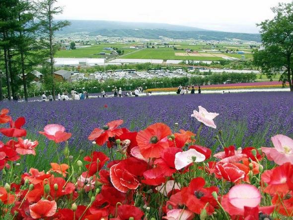 d998efb54c295505242bd3901a5 prev