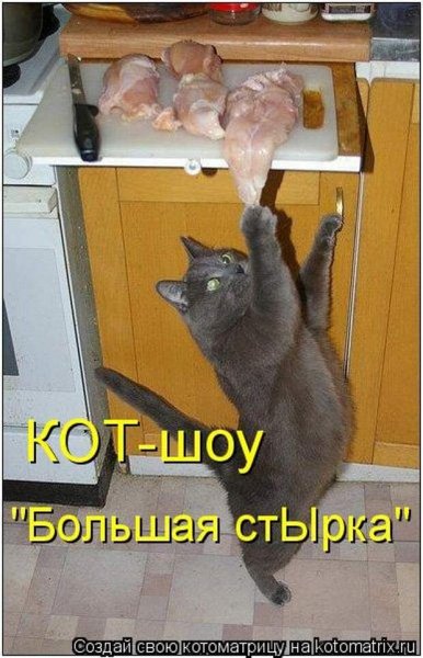 )))))))