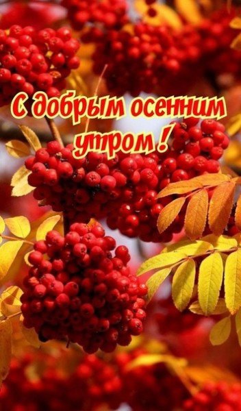 picture_348772751