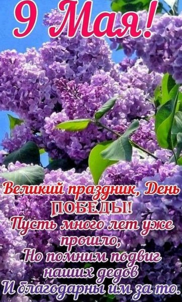 -lRnBpOOwoC3dbEIR7sXi1m4m71PXN0OKfIgId1doR4ua84KZDPWNvZntZ