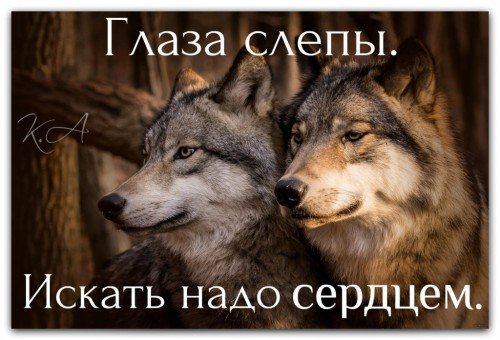 p.500.500.0