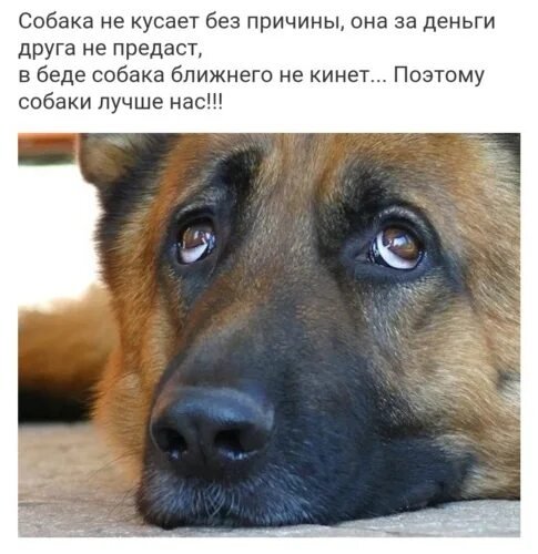 Да!!!