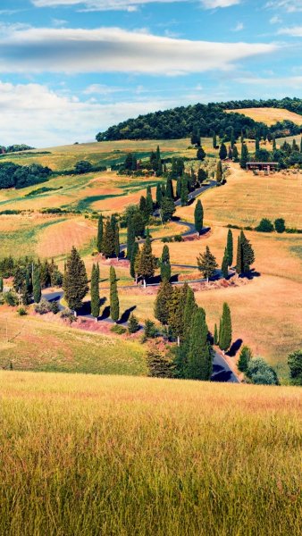 Screenshot 20260222-165559 One UI Home