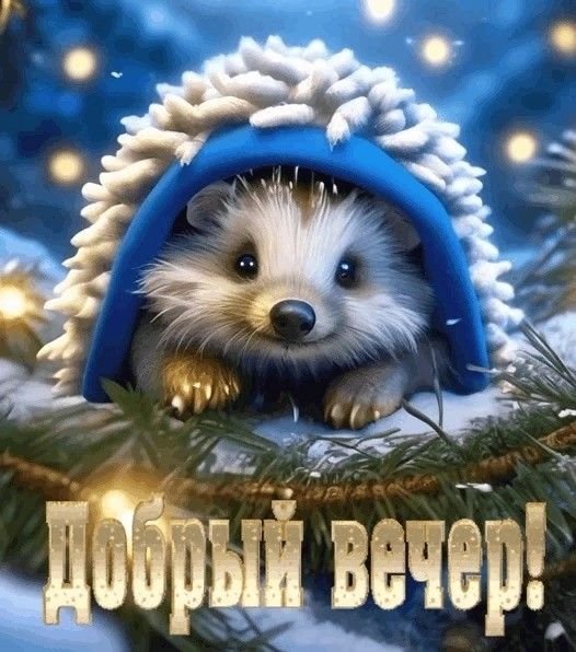 c03689b17aea48c086bfe20fe7ca