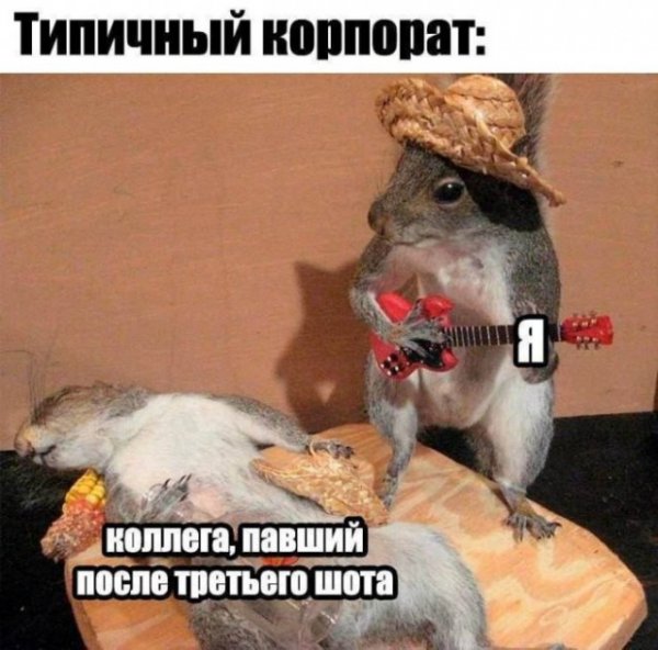 Nik-smeshnyh-kartinok-i-memov-dlja-vashego-nastroenija-6