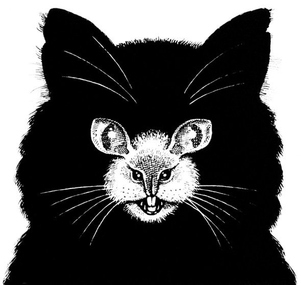 optical illusions-17