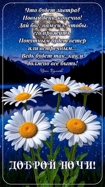 Доброй ночи!