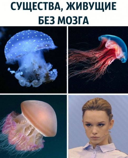 smeshnye-kartinki-s-nadpisjami-22