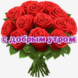 с добрым утром