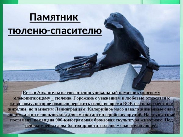 Памятник тюленю - спасателю