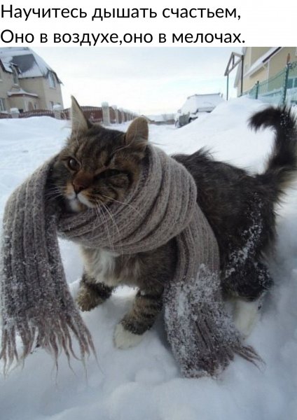 Оно в мелочах