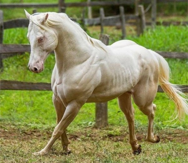 c230ff40b1b5bf2598326789b6c8fde5