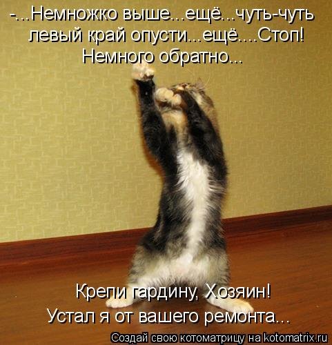 Немножко выше...