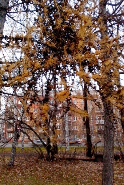 IMG 20151023 192929