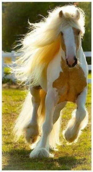 10-10-26-218679040 854317608519073 5763209760777929801 n