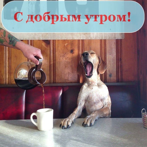 С добрым утром!