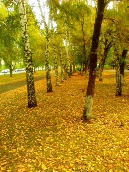 Золотая осень