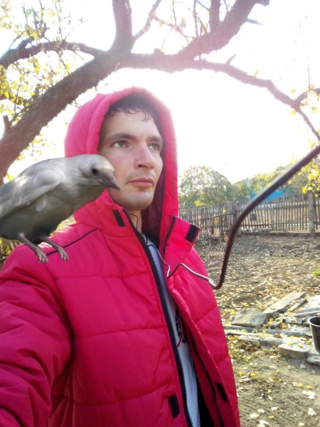 photostudio 1542193863174