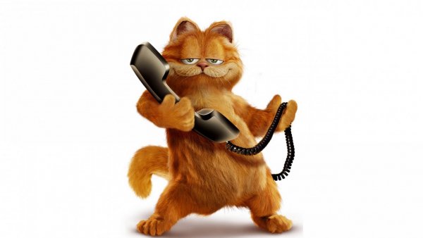garfield kot multfilm telefon 100777 1280x720