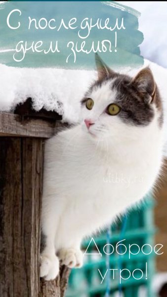 Доброе утро!