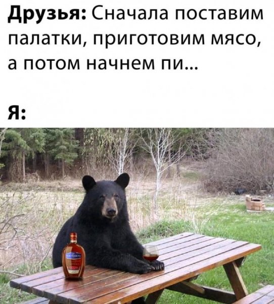 0d0cb79412 novye-memy-i-smeshnye-kartinki-s-nadpisjami-15
