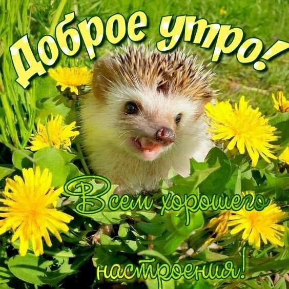 9fd8133180848a9cc0a3355aa9a3462c