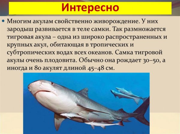 Интересно