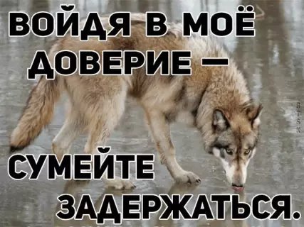 picture_215259634