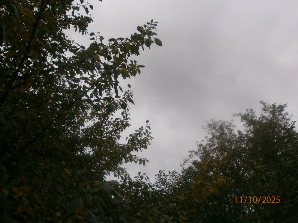 PA110019