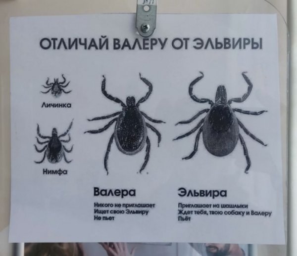 Bolshaja-podborka-prikolnyh-memov-i-foto-dlja-nastroenija-12