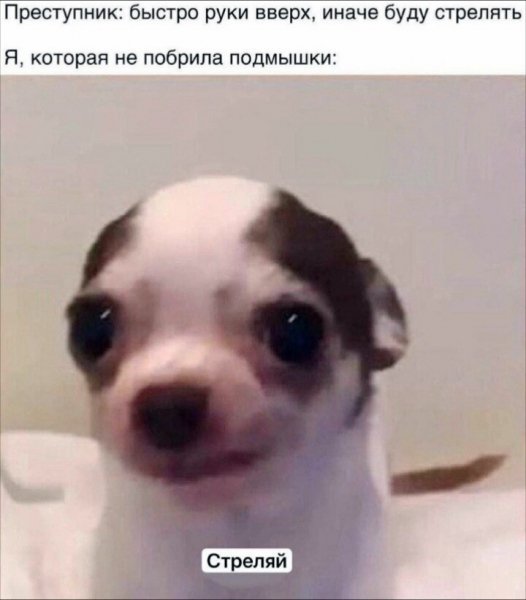 p.600.600.0