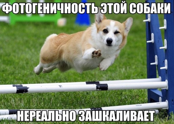 rstSfY3AHRk