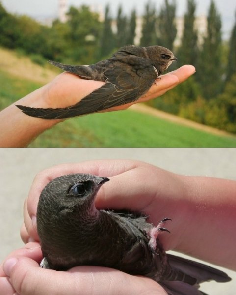 5tzFJWWs5-nP1zXrGbE7puh8HwOSMkt7VsVNplHoFDiRhwwL7lFeQ2MUHFSy